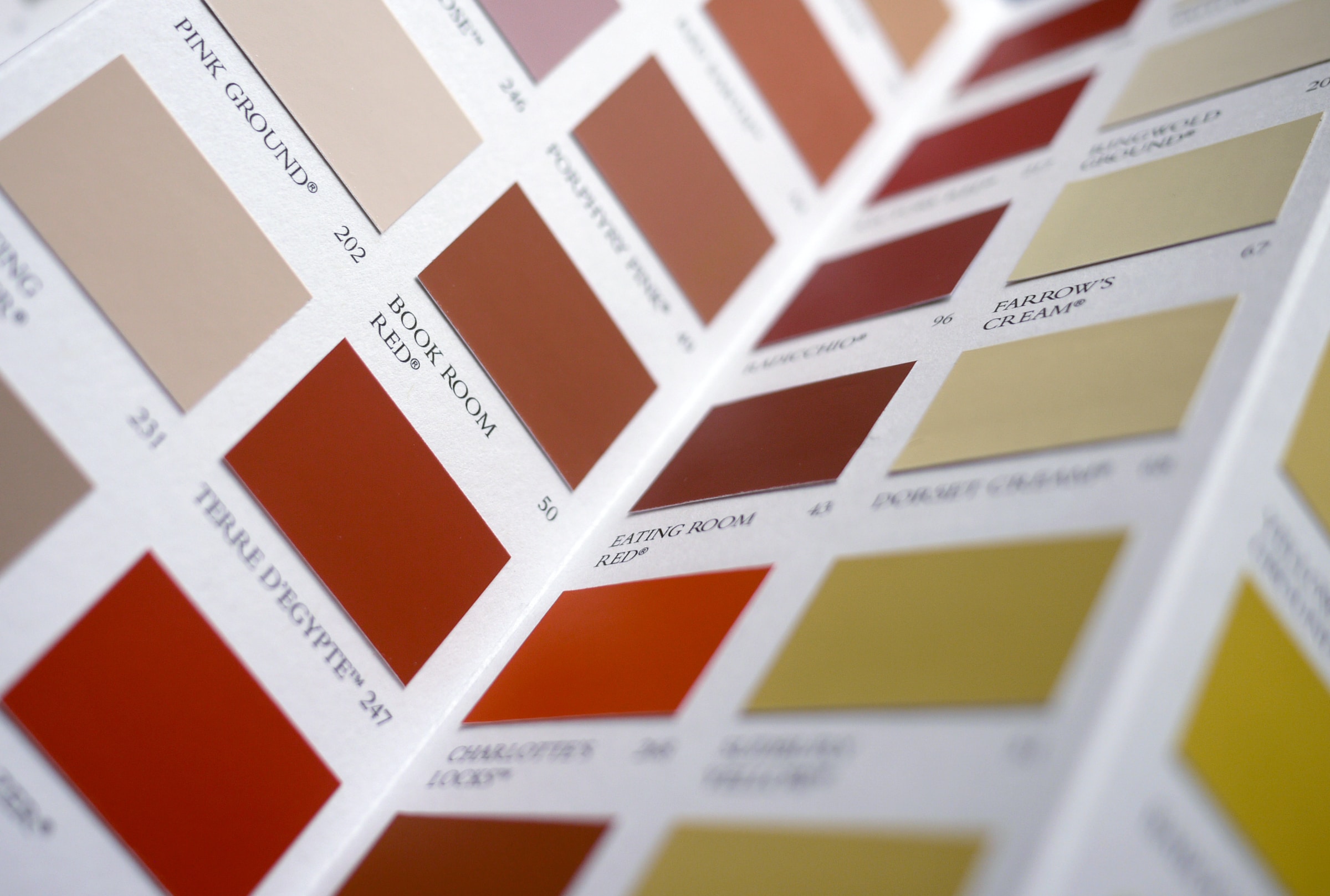 Choosing a Paint Colour for Your Home: Find the Perfect One! Down To The Wire