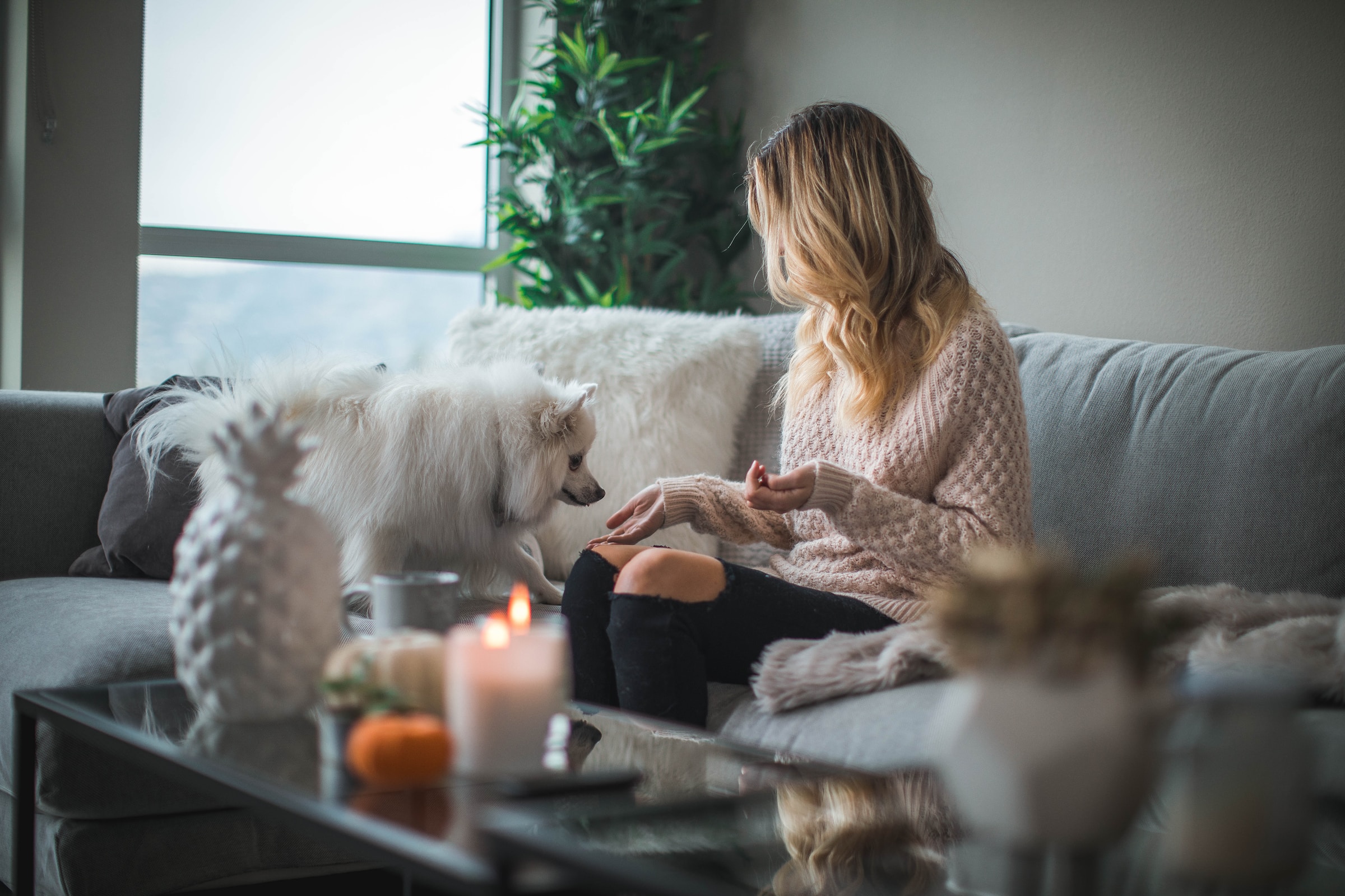 Title: Creating a Pet-Friendly Home: The Ultimate GuideDescription: Discover the essentials of designing a pet-friendly living space as we explore how one woman effortlessly integrates her furry friend into the comfort of